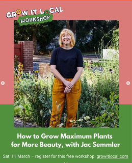 Garden workshop promoting local plant growth techniques.